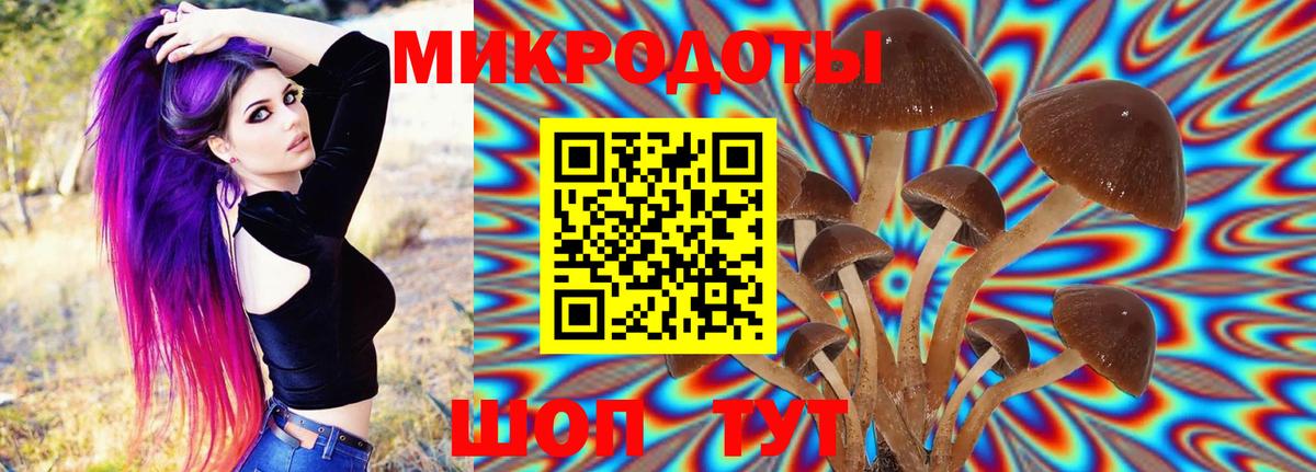 Азов  Галлюциногенные грибы GOLDEN TEACHER  Вход с VPN 